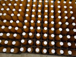 2025-10-17 19.41.27-1